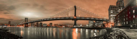 Manhattan bridge and New York city skyline Black Ornate Wood Framed Art Print with Double Matting by Frank, Assaf