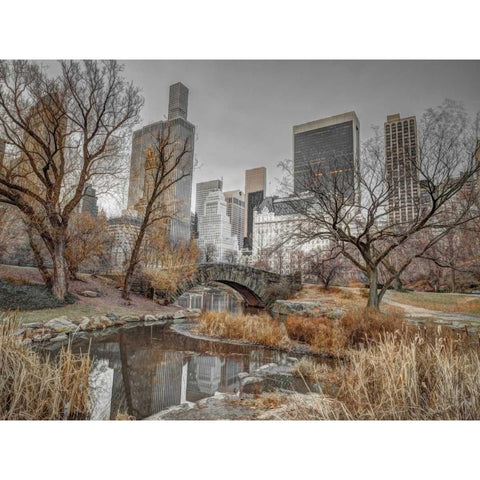Central park and Manhattan skyline, New York Black Modern Wood Framed Art Print with Double Matting by Frank, Assaf