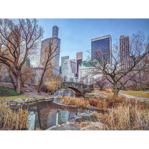 Central park with Manhattan skyline-New York Black Modern Wood Framed Art Print with Double Matting by Frank, Assaf