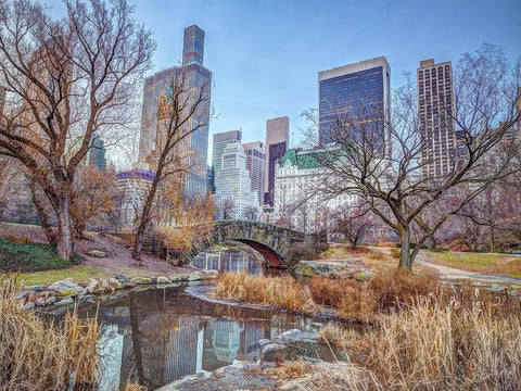 Central park with Manhattan skyline-New York White Modern Wood Framed Art Print with Double Matting by Frank, Assaf