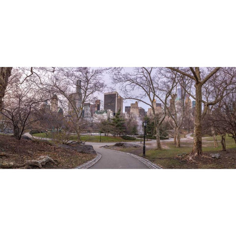 Pathway through Central park, New York Black Modern Wood Framed Art Print with Double Matting by Frank, Assaf