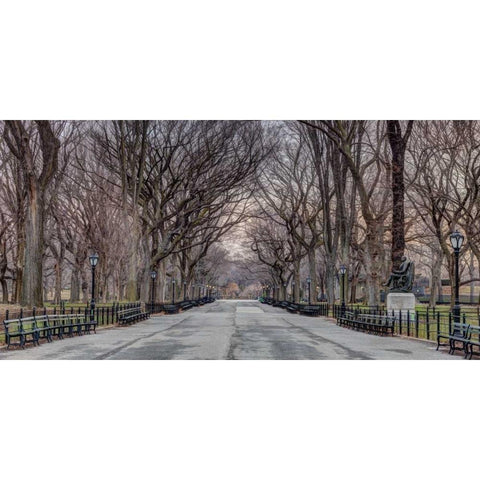Pathway through Central park, New York Black Modern Wood Framed Art Print with Double Matting by Frank, Assaf
