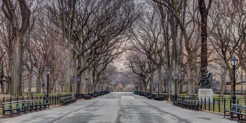 Pathway through Central park, New York White Modern Wood Framed Art Print with Double Matting by Frank, Assaf