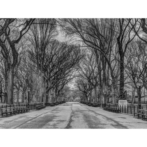 Pathway through Central park, New York Black Modern Wood Framed Art Print with Double Matting by Frank, Assaf