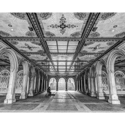 Bethesda Terrace in Central park, New York Black Modern Wood Framed Art Print with Double Matting by Frank, Assaf