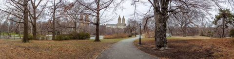 Pathway through Central park, New York White Modern Wood Framed Art Print with Double Matting by Frank, Assaf