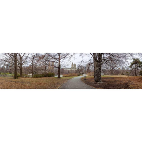 Pathway through Central park, New York Black Modern Wood Framed Art Print with Double Matting by Frank, Assaf