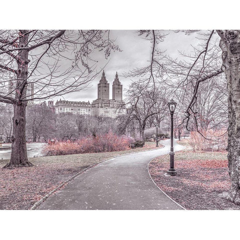 Pathway through Central park-New York Black Modern Wood Framed Art Print with Double Matting by Frank, Assaf