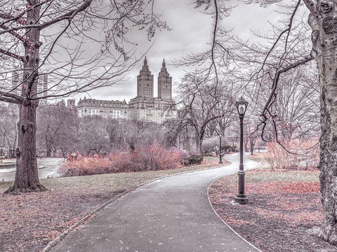 Pathway through Central park-New York White Modern Wood Framed Art Print with Double Matting by Frank, Assaf