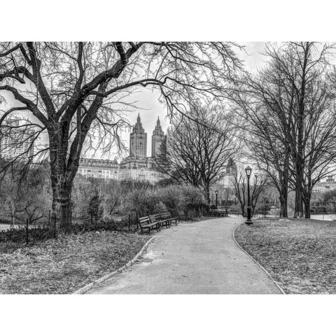 Central park with Manhattan skyline, New York Black Modern Wood Framed Art Print with Double Matting by Frank, Assaf