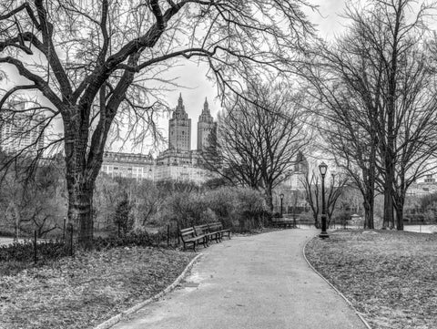 Central park with Manhattan skyline, New York Black Ornate Wood Framed Art Print with Double Matting by Frank, Assaf