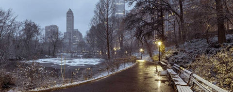 Central park with Manhattan skyline, New York White Modern Wood Framed Art Print with Double Matting by Frank, Assaf