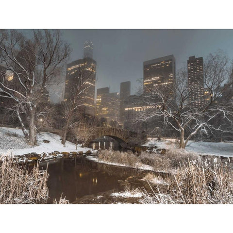 Central park with Manhattan skyline, New York Black Modern Wood Framed Art Print with Double Matting by Frank, Assaf