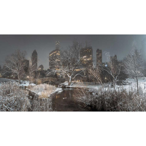 Central park with Manhattan skyline, New York Black Modern Wood Framed Art Print with Double Matting by Frank, Assaf