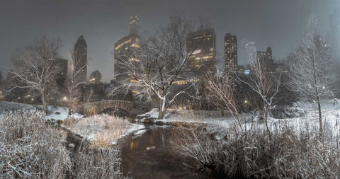 Central park with Manhattan skyline, New York Black Ornate Wood Framed Art Print with Double Matting by Frank, Assaf