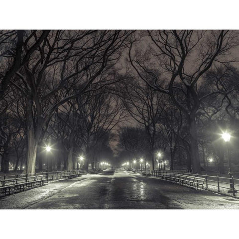 Central park with Manhattan skyline, New York Black Modern Wood Framed Art Print with Double Matting by Frank, Assaf
