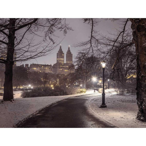 Central park with Manhattan skyline, New York White Modern Wood Framed Art Print by Frank, Assaf