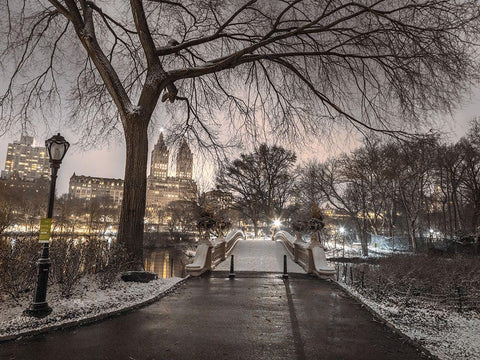 Evening view of Central park-New York White Modern Wood Framed Art Print with Double Matting by Frank, Assaf