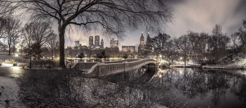 Central park with Manhattan skyline, New York Black Ornate Wood Framed Art Print with Double Matting by Frank, Assaf