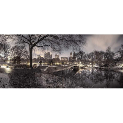 Central park with Manhattan skyline, New York Gold Ornate Wood Framed Art Print with Double Matting by Frank, Assaf