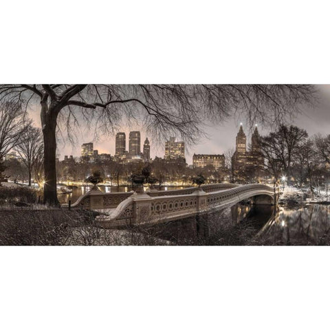 Central park with Manhattan skyline, New York Black Modern Wood Framed Art Print with Double Matting by Frank, Assaf