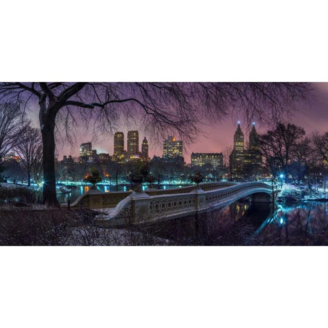 Central park with Manhattan skyline, New York Black Modern Wood Framed Art Print with Double Matting by Frank, Assaf