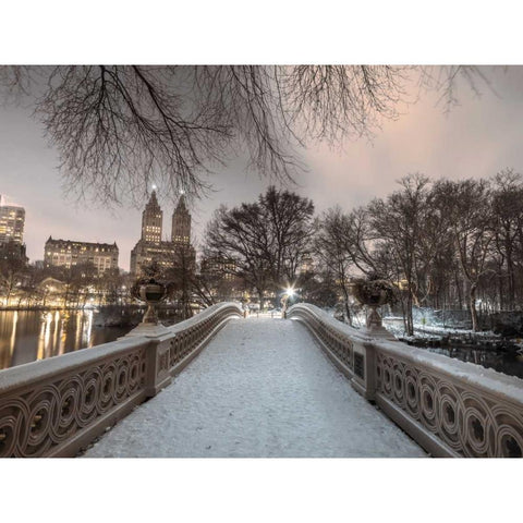 Central park with Manhattan skyline, New York Black Modern Wood Framed Art Print with Double Matting by Frank, Assaf