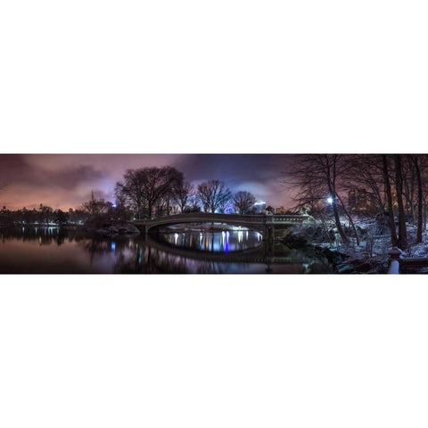 Central park with Manhattan skyline, New York Black Modern Wood Framed Art Print with Double Matting by Frank, Assaf