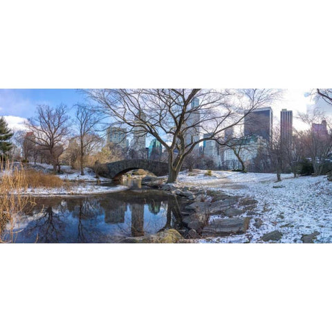 Central park with Lower Manhattan skyline, New York Black Modern Wood Framed Art Print with Double Matting by Frank, Assaf