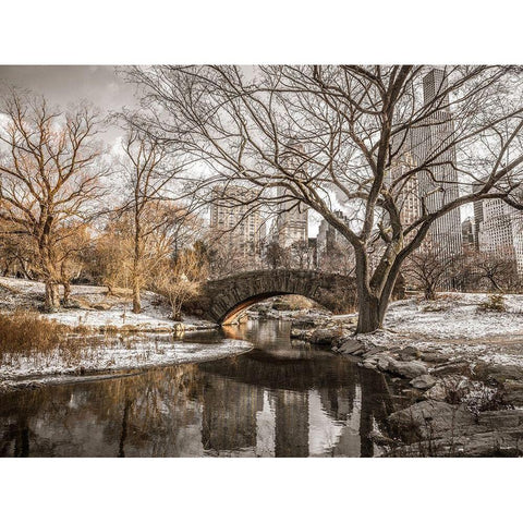 Central park in New York Black Modern Wood Framed Art Print with Double Matting by Frank, Assaf