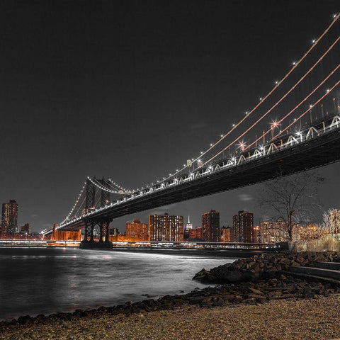 Manhattan bridge and Lower Manhattan skyline, New York, FTBR-1838 Black Modern Wood Framed Art Print with Double Matting by Frank, Assaf