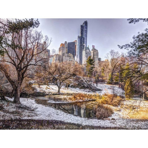 Central park with Lower Manhattan skyline, New York Black Modern Wood Framed Art Print with Double Matting by Frank, Assaf