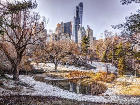 Central park with Lower Manhattan skyline, New York Black Ornate Wood Framed Art Print with Double Matting by Frank, Assaf