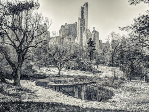 Central park with Lower Manhattan skyline, New York Black Ornate Wood Framed Art Print with Double Matting by Frank, Assaf