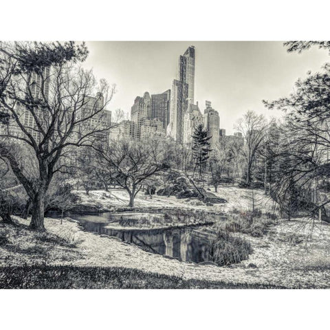 Central park with Lower Manhattan skyline, New York Black Modern Wood Framed Art Print with Double Matting by Frank, Assaf