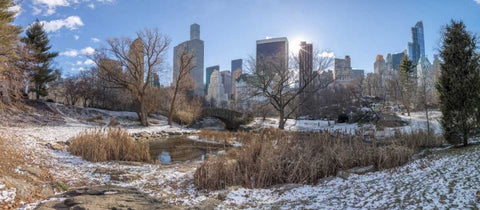 Central park with Lower Manhattan skyline, New York White Modern Wood Framed Art Print with Double Matting by Frank, Assaf