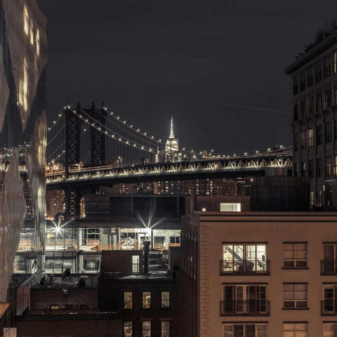 Manhattan bridge and cityscape, New York Black Modern Wood Framed Art Print with Double Matting by Frank, Assaf