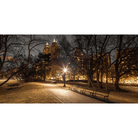 Central park in evening, New York Black Modern Wood Framed Art Print with Double Matting by Frank, Assaf