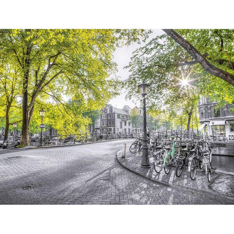 Amsterdam city street Black Modern Wood Framed Art Print with Double Matting by Frank, Assaf