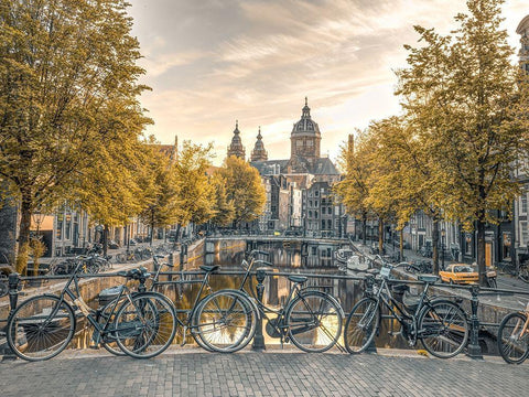 Bicycles parked along the canal-Amsterdam Black Ornate Wood Framed Art Print with Double Matting by Frank, Assaf