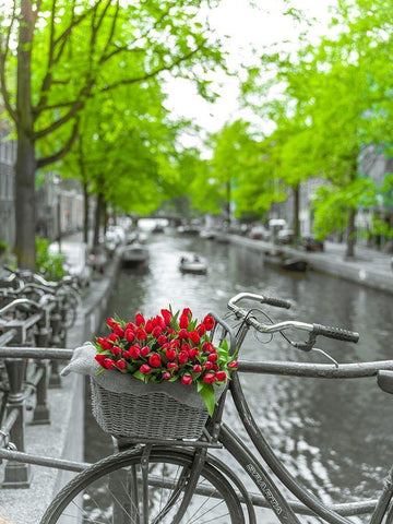 Bicycle with bunch of flowers by the canal-Amsterdam White Modern Wood Framed Art Print with Double Matting by Frank, Assaf