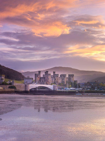Conwy castle-North Wales coast Black Ornate Wood Framed Art Print with Double Matting by Frank, Assaf