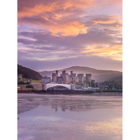 Conwy castle-North Wales coast Gold Ornate Wood Framed Art Print with Double Matting by Frank, Assaf