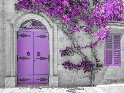 Maltese house in Mdina-Malta White Modern Wood Framed Art Print with Double Matting by Frank, Assaf