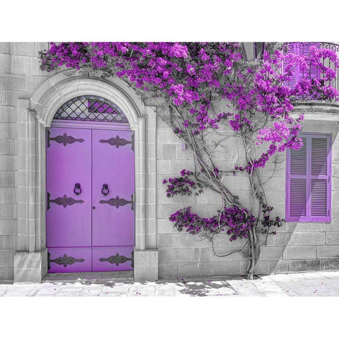 Maltese house in Mdina-Malta Black Modern Wood Framed Art Print with Double Matting by Frank, Assaf