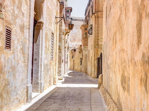 Narrow street of Mdina city-Malta Black Ornate Wood Framed Art Print with Double Matting by Frank, Assaf