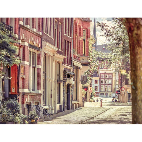 City street-Amsterdam Gold Ornate Wood Framed Art Print with Double Matting by Frank, Assaf