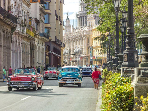 Vintage cars on Havana street, Cuba Black Ornate Wood Framed Art Print with Double Matting by Frank, Assaf