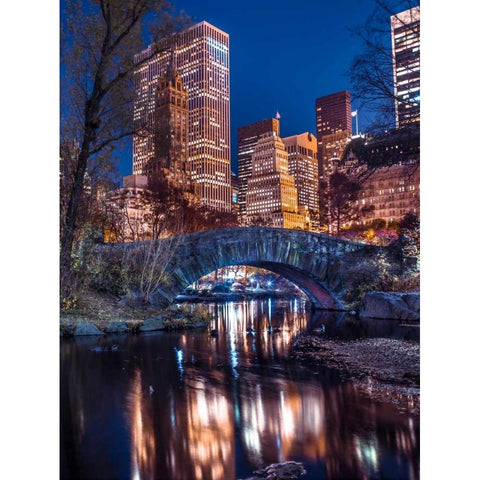 AF20131119 New York 1725C05 Gold Ornate Wood Framed Art Print with Double Matting by Frank, Assaf