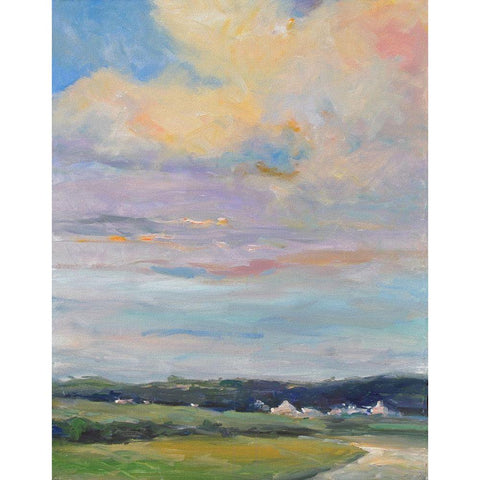 Warm Afternoon Black Modern Wood Framed Art Print with Double Matting by Stevens, Allayn